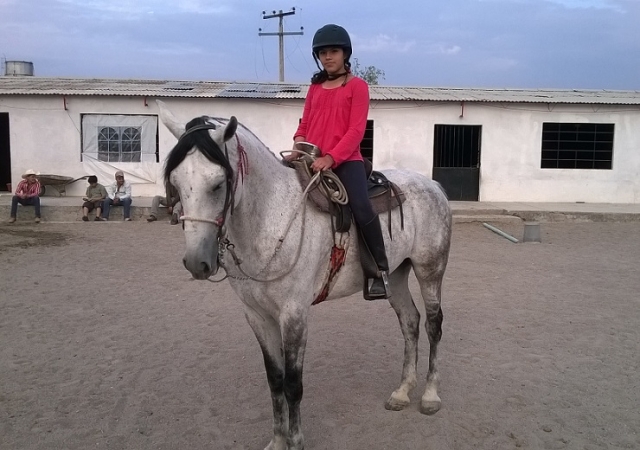  Riding classes